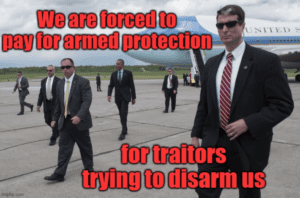 The Real Reason They Want To Disarm us