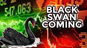 George Gammon Posts A Black Swan Alert