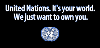 THE UNITED NATIONS IS NOW TAKING DOWN WEBSITES AND CENSORING THE INTERNET